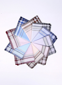 Pack of 10 Handkerchiefs 