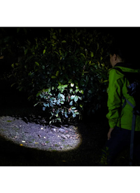 Pro Search Head Torch 