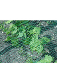 PEST CONTROL GARDEN NETTING 