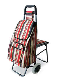 All-In-One Leisure Trolley with Seat