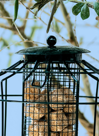 SQUIRREL PROOF BIRD FEEDER (SET OF 2)