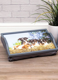 Cat/Dog Design Lap Tray 