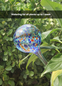 Watering Spheres Set of 6