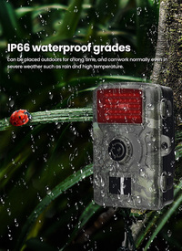 Multi-Function Wildlife Camera