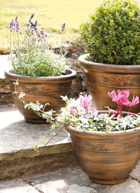 Wenlock 4pc Planter Set