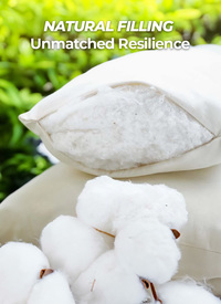 Premium Bounce Back Pillows (2pck)