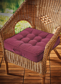 Booster Cushion Arm Chair 