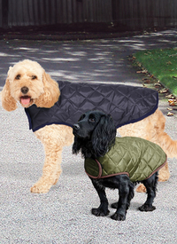 Diamond Quilt Pet Coat 