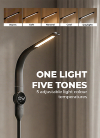 Homelya Remote Control Floor Lamp