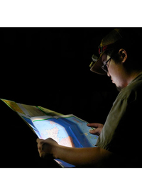 Pro Search Head Torch 