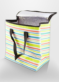 12L COOLER BAG