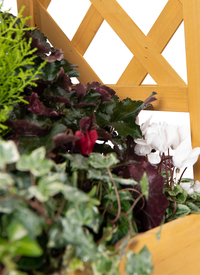 WOODEN ARCH PLANTER