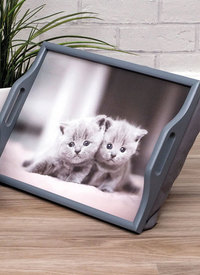 Cat/Dog Design Lap Tray 