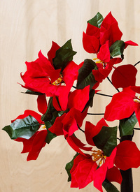 Free Standing LED Poinsettia Tree