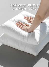 Premium Bounce Back Pillows (2pck)