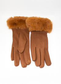 Ladies Glove With Free Scarf 