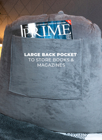 Back support cushion 
