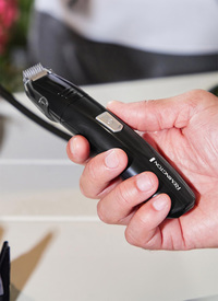 Remington Personal Groomer