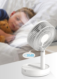 On The Go Telescopic Fan