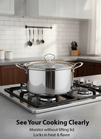 Stainless Steel Pan Set with Glass Lids