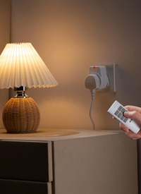 REMOTE CONTROLLED SOCKETS 