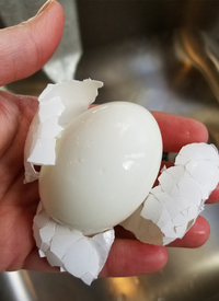 The Amazing Instant Boiled Egg Sheller 