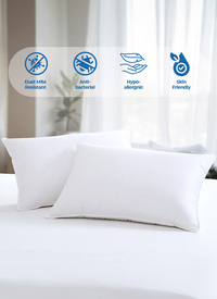 Premium Bounce Back Pillows (2pck)