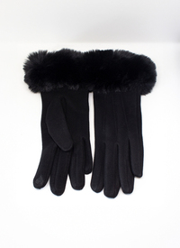 Ladies Glove With Free Scarf 