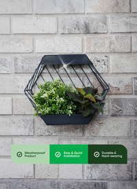 Solar Hanging Topiary Solar Hanging Topiary
