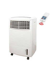 Air Cooler And Remote Control Cold Humidifying Fan
