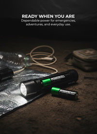 Powercell Batteries Powercell Batteries