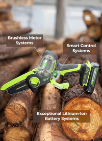 Greenworks 24V 30cm Cordless Brushless Chainsaw (Tool Only)