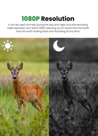 Multi-Function Wildlife Camera