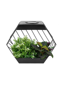 Solar Hanging Topiary 